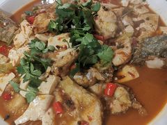 -煲来饱去冷水鱼