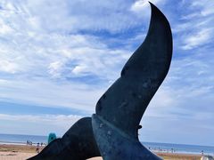 -烟台金沙滩海滨公园