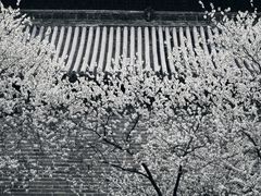 -雍和宫(地铁站)