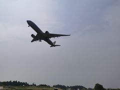 -空港花田景区