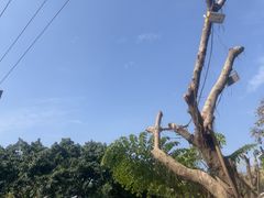 -柠檬花院烤肉·会议团建·聚会·求婚(三圣乡店)