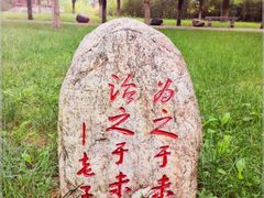-万绿园
