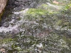 -水磨沟公园