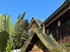 -西双版纳傣族园