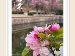 -海棠花溪(元大都城垣遗址公园)