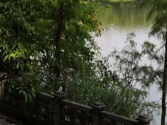 -三水森林公园
