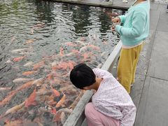 -万景饭店·鱼街农家菜