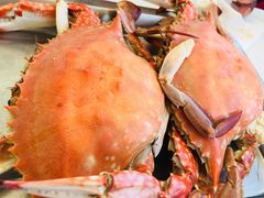-渔民船说·北塘海鲜·天津菜·海肠捞饭(北塘古镇店)