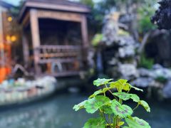 -漫渡庄绿岛花园•隐世庭园菜(滨湖店)