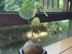 -华道钰善阁