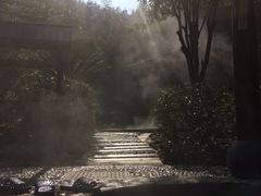 -明月山天沐温泉度假村