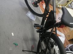 -道路口单车爱瓦士dahon大行