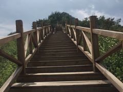 -大岭沟猕猴桃谷风景区