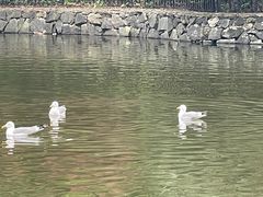 -合肥野生动物园