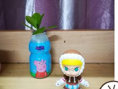 -泡泡玛特POPMART(蓝色港湾店)