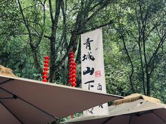 -青城山