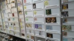 -小鬼当佳儿童摄影(回龙观店)