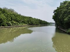 -大湾区中央湿地公园