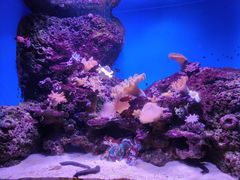 -泉城欧乐堡海洋极地世界