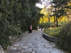 -丰台花园
