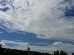 -呼兰河口湿地公园
