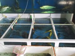 -头塘庄园(农家乐)