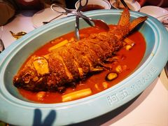 -阿五黄河大鲤鱼(英协路店)
