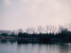 -溱湖国家湿地公园