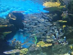 -华夏文旅海洋公园