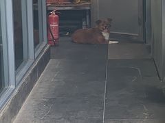 门面-花园茶楼(兴城西路店)