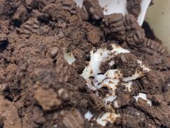 -茶百道(太原茂业天地店)