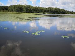 -塞罕坝国家级自然保护区