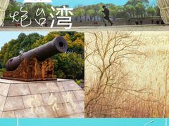 -上海吴淞炮台湾国家湿地公园