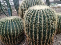-南山植物园