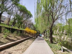 -元大都城垣遗址公园