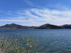 -望湖烤鱼