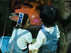 -悉尼海洋生物水族馆