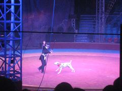 -环球城国际大马戏