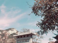 -泰山风景名胜区