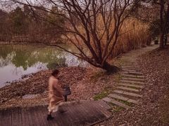 -西溪国家湿地公园