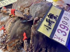 -渔娘渔家丹东海鲜(东直门店)