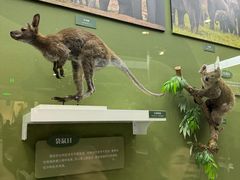 -国家自然博物馆