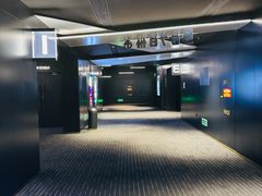 -奥斯卡升龙国际影城(RealD Cinema)