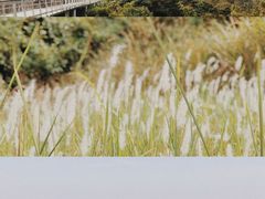 -仙岳公园