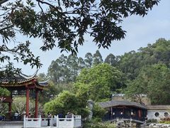 -顺峰山公园