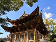 -上海东林寺(金山区)