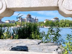 -莲花池公园