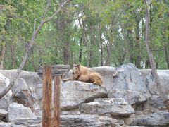-北京野生动物园