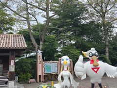 -大湾区中央湿地公园
