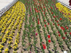 -长春公园(普阳街道)